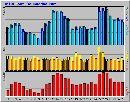 Daily usage for December 2024