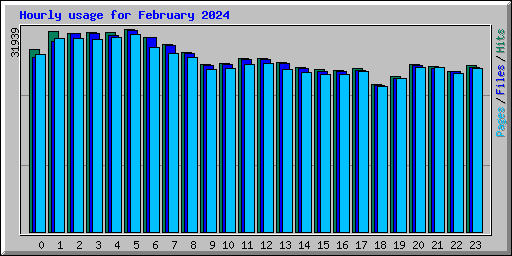 Hourly usage for February 2024