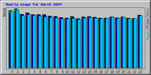 Hourly usage for March 2024