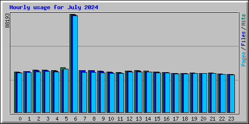 Hourly usage for July 2024