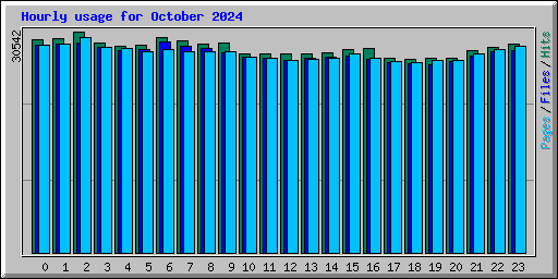 Hourly usage for October 2024