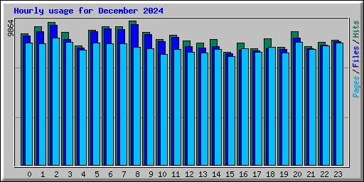 Hourly usage for December 2024