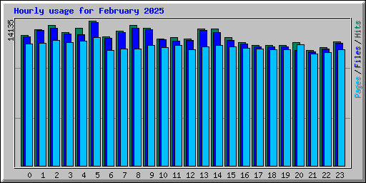 Hourly usage for February 2025