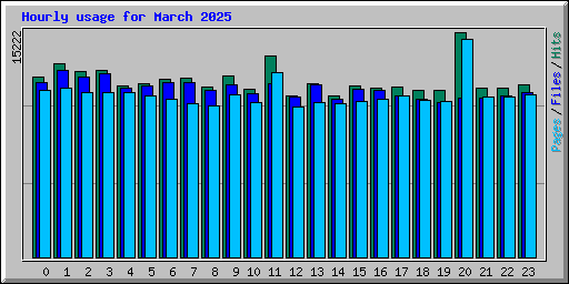 Hourly usage for March 2025