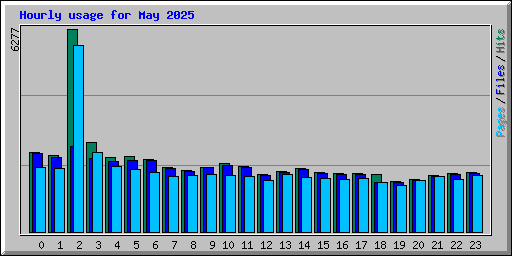 Hourly usage for May 2025