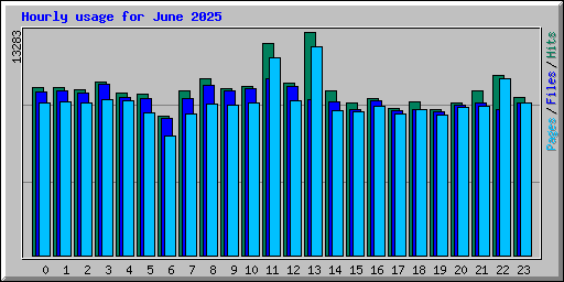 Hourly usage for June 2025