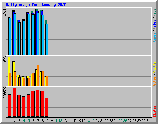 Daily usage for January 2025