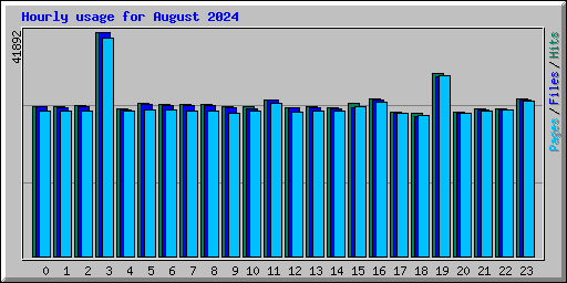 Hourly usage for August 2024