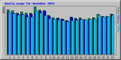 Hourly usage for November 2024