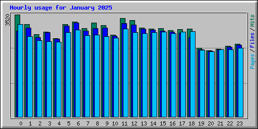 Hourly usage for January 2025