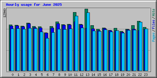 Hourly usage for June 2025