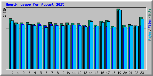 Hourly usage for August 2025