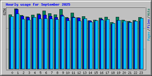 Hourly usage for September 2025
